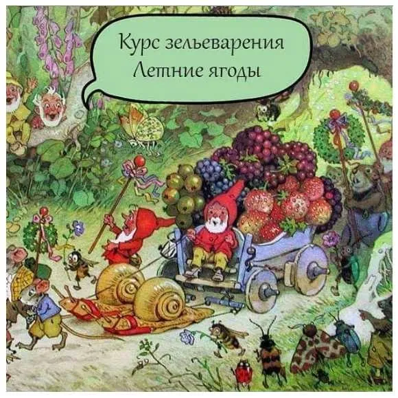 Курс зельеварения «Летние ягоды» (IrinaTaro)