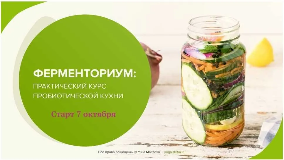 Ферменториум: практический курс пробиотической кухни (Юлия Мальцева)