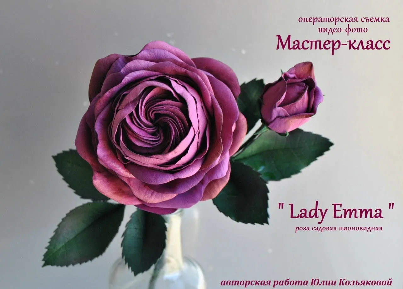 Роза садовая пионовидная «Lady Emma» (Юлия Козьякова)