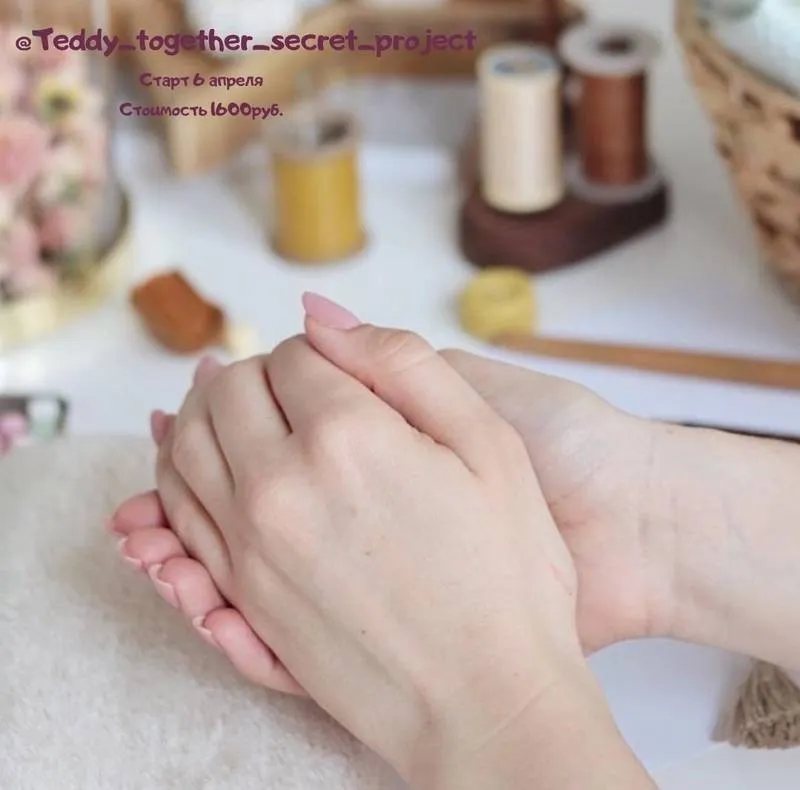 Совместный пошив teddy_together_secret_project (Таисия Клонингер, Наталия Климова)