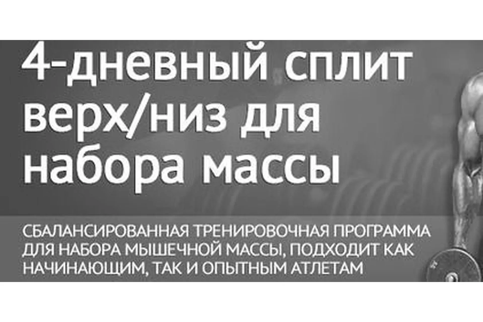 Верх/Низ 4-х дневный сплит (Денис Юровских)
