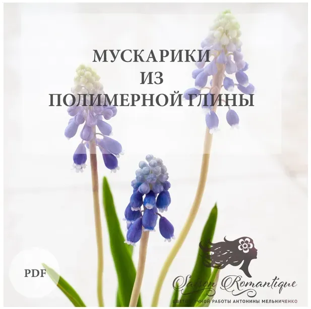 Мускарики (Антонина Мельниченко)