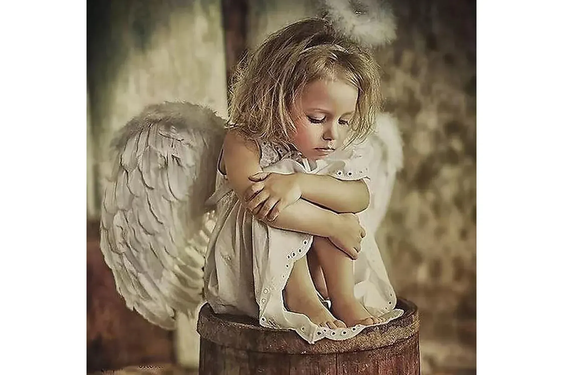 Состояние Альфа. Анемия (Ольга Фахрутдинова)