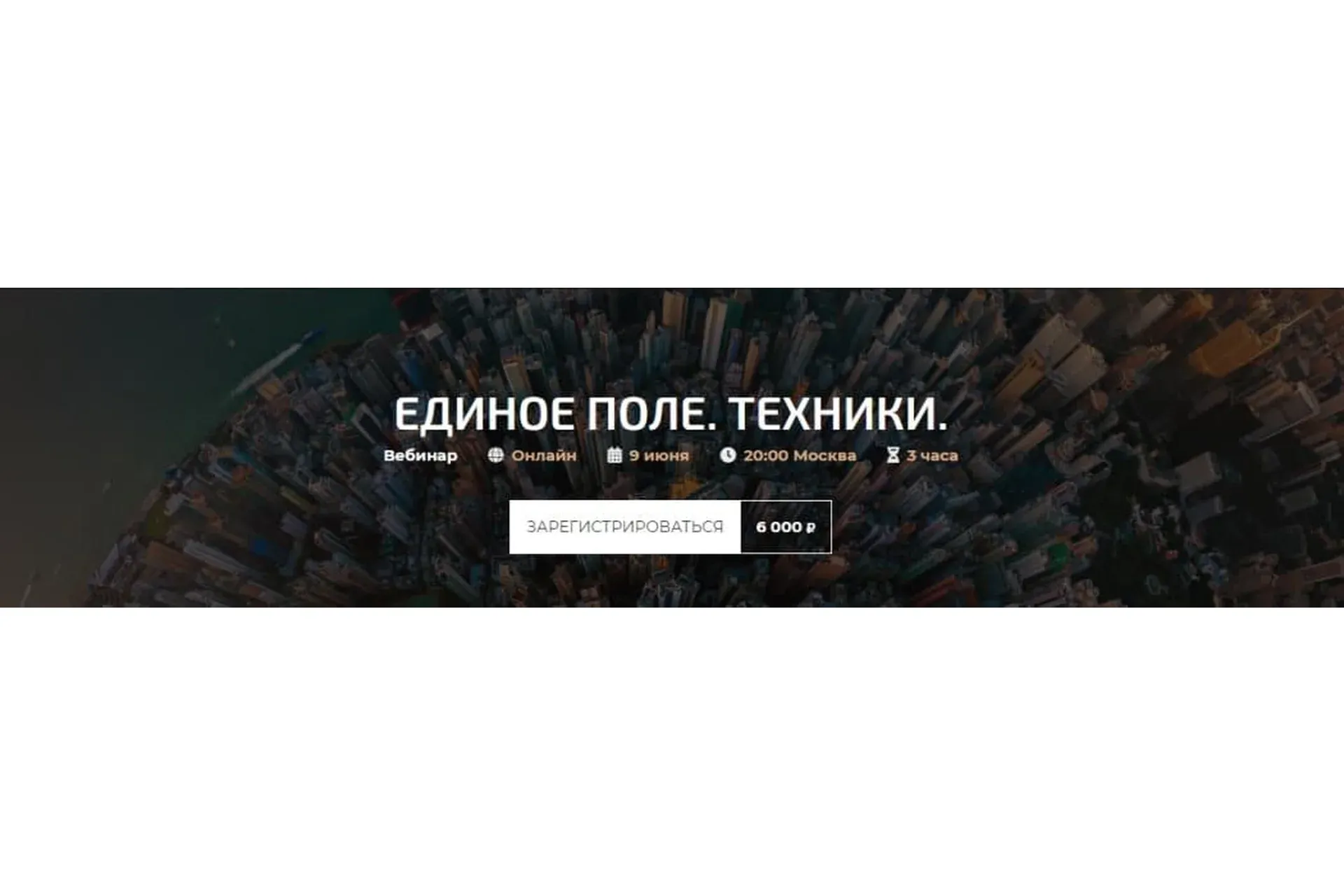 Единое поле. Техники (Александр Палиенко)