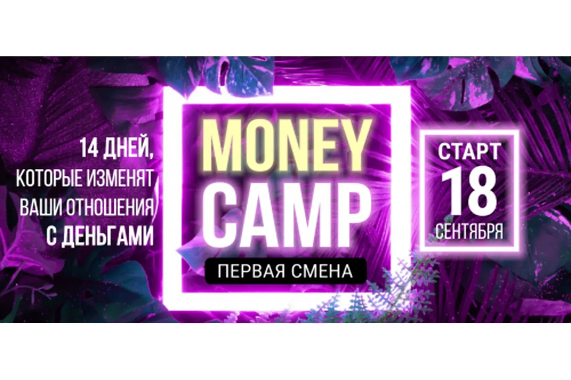 MONEY CAMP. Первая смена. Тариф «Крутой» (Лилия Нилова)