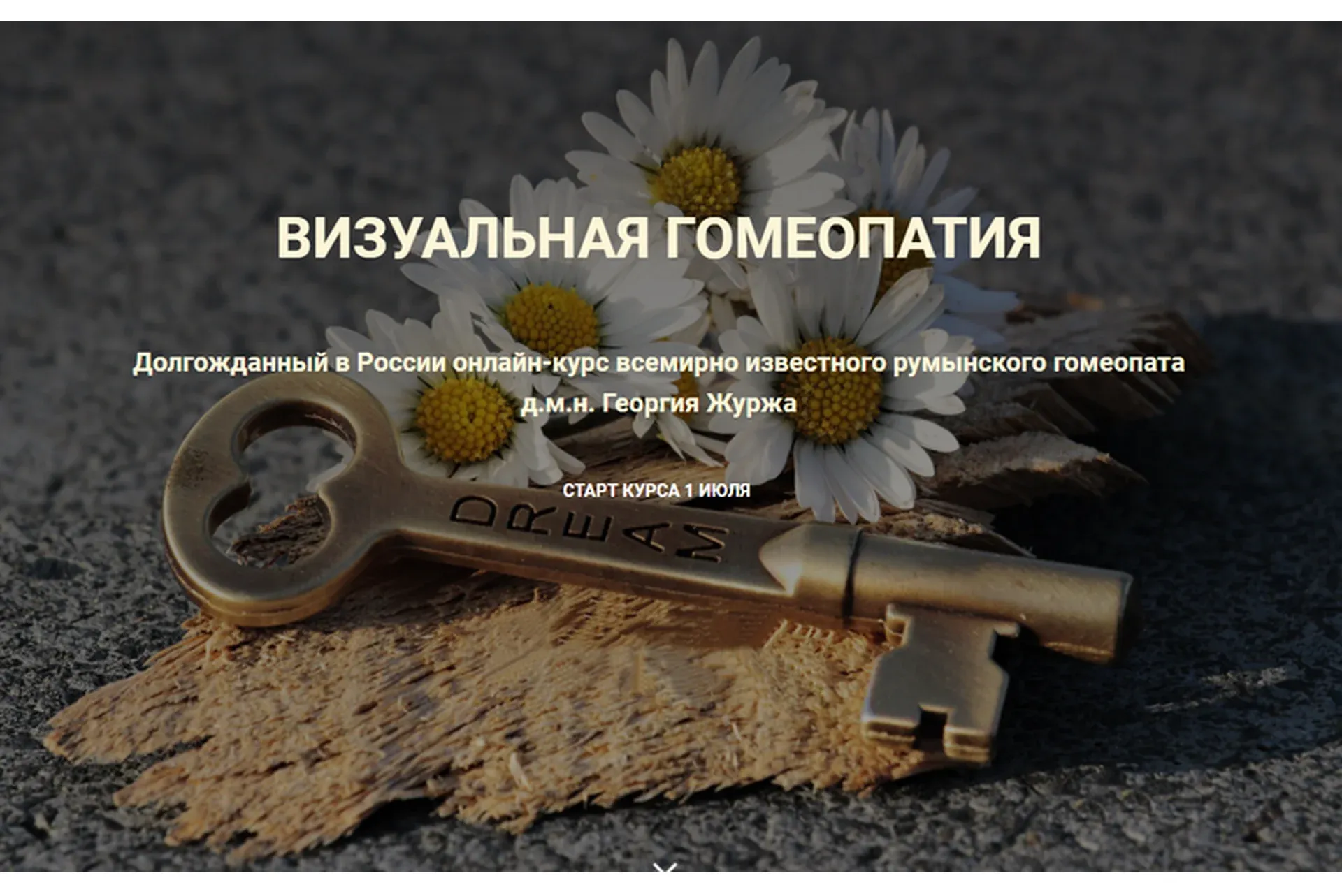 Визуальная гомеопатия. Тариф «1 занятие» (Георгий Журж)