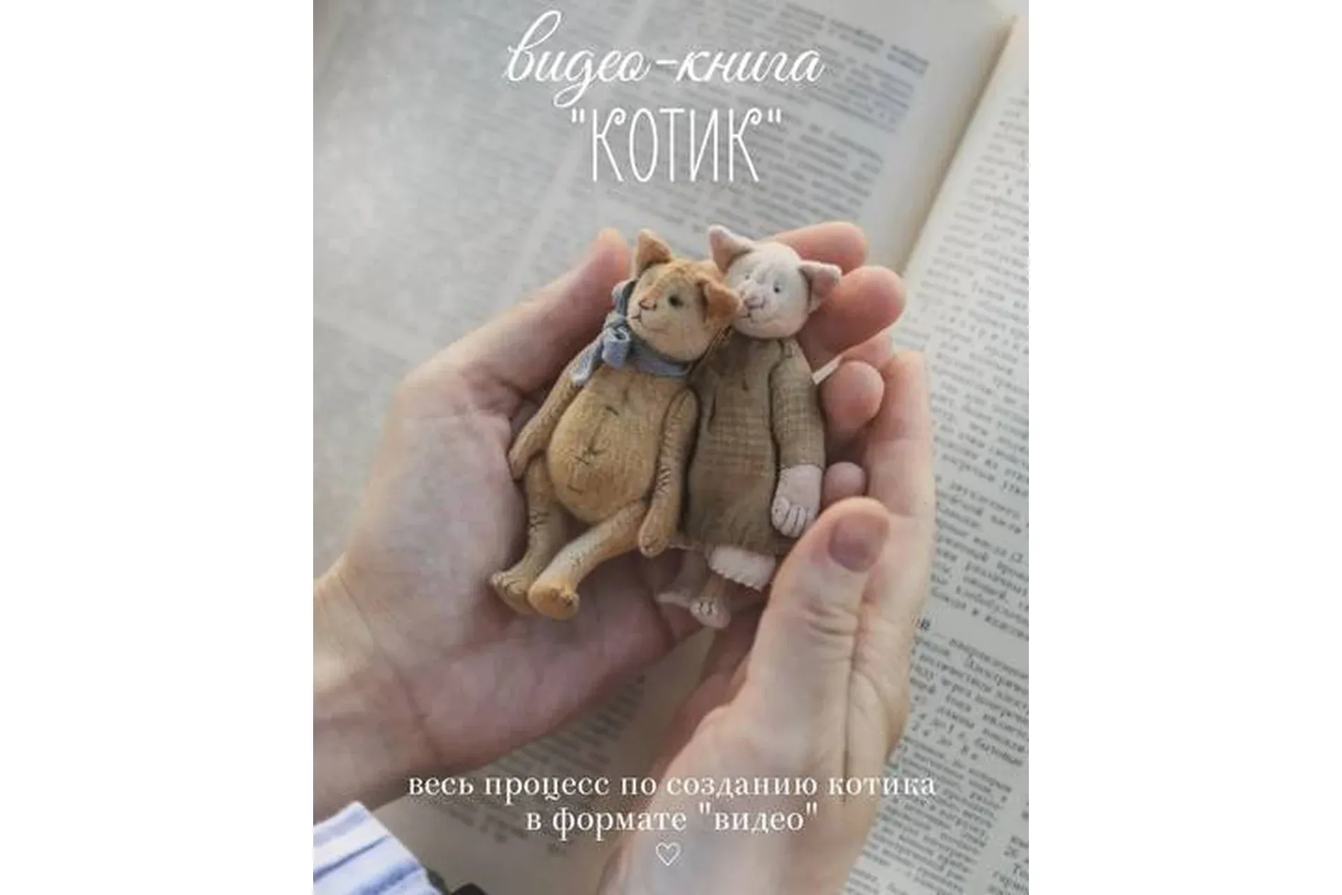 Видео-книга Котик (Наталья Суранова)