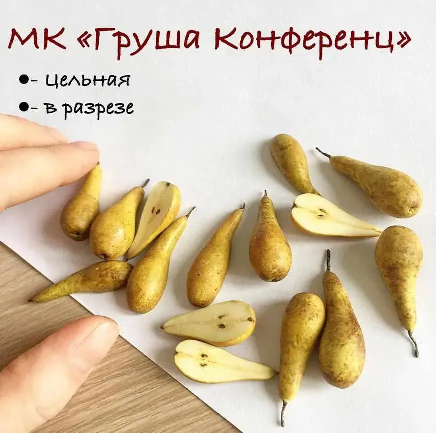 Мастер-класс «Груши конференция целые и в разрезе» (manufruktura)