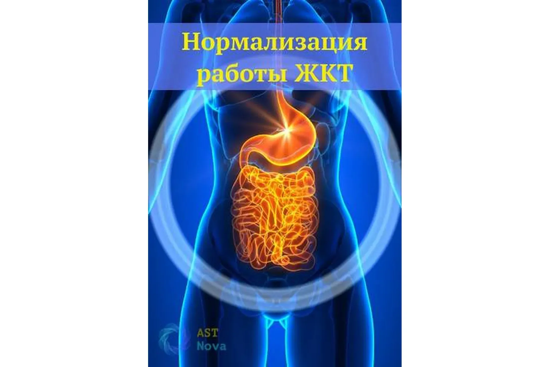 [Ast Nova] Нормализация ЖКТ