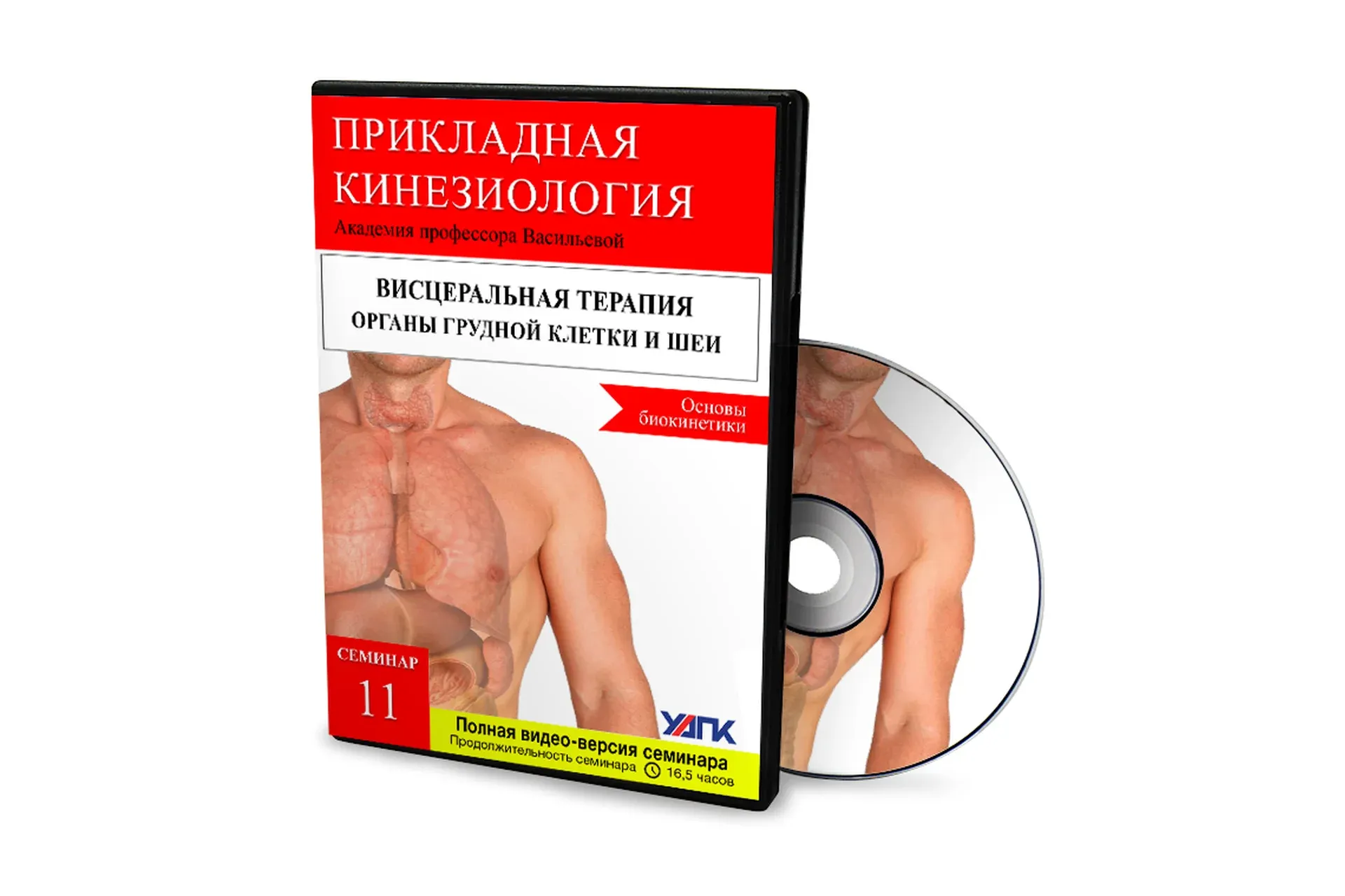 Висцеральная терапия органов грудной клетки и шеи. Основы Биокинетики (Михаил Савиных)