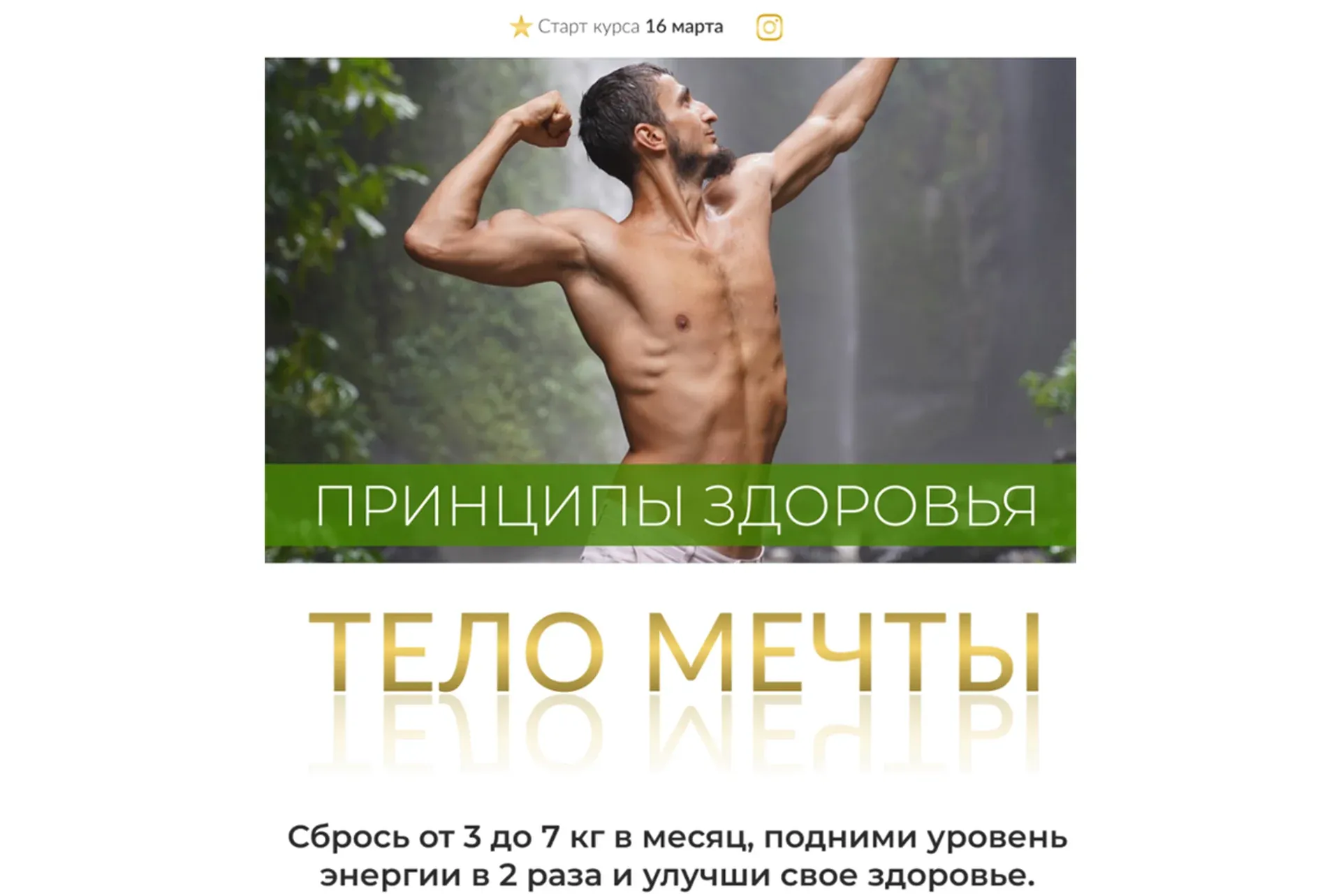 Принцип здоровья. Тело мечты. Тариф - Практика (Владимир Горохов)