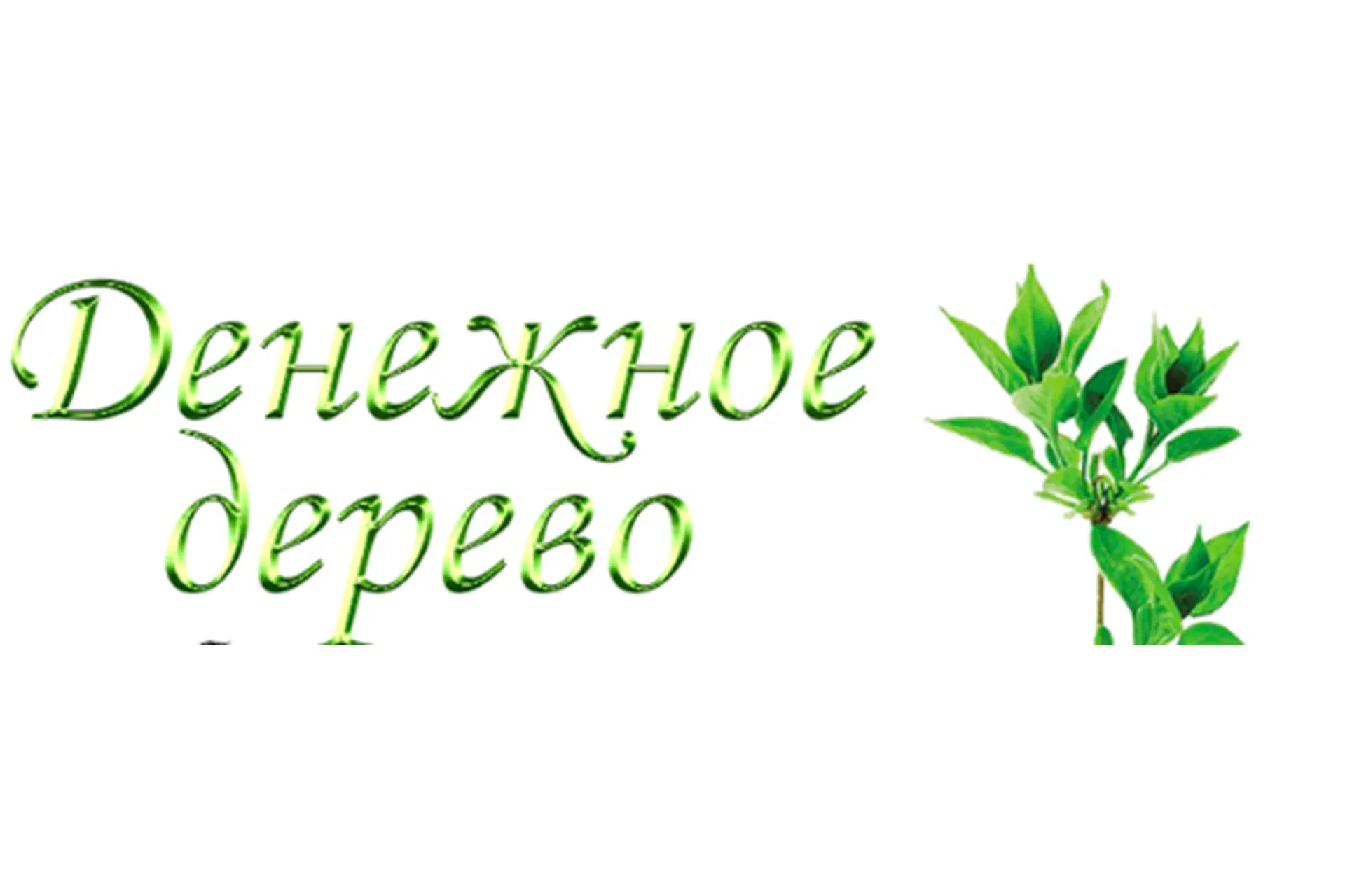 Денежное дерево (Инесса Власова)