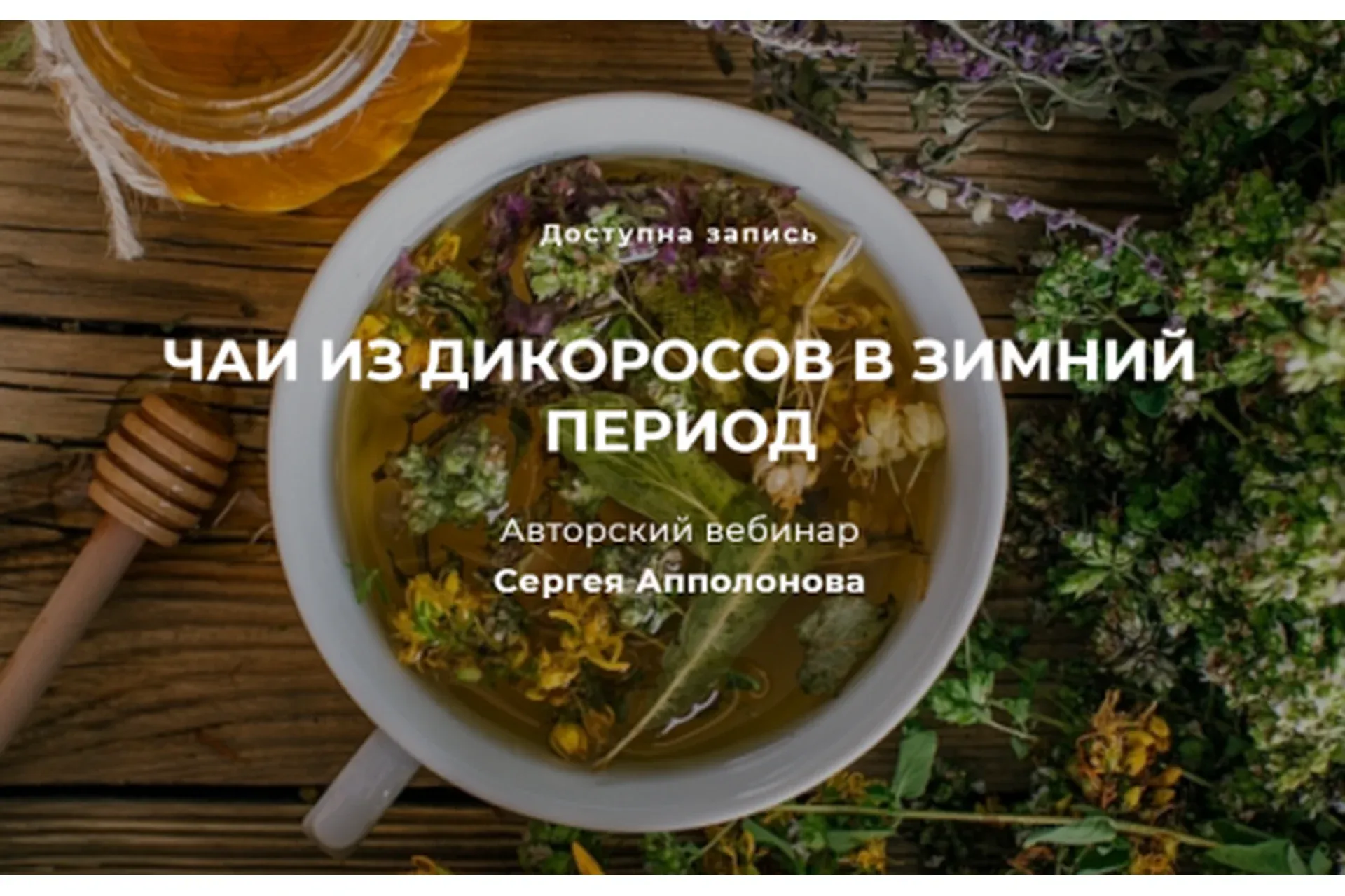 Чаи из дикоросов в зимний период (Cергей Апполонов)