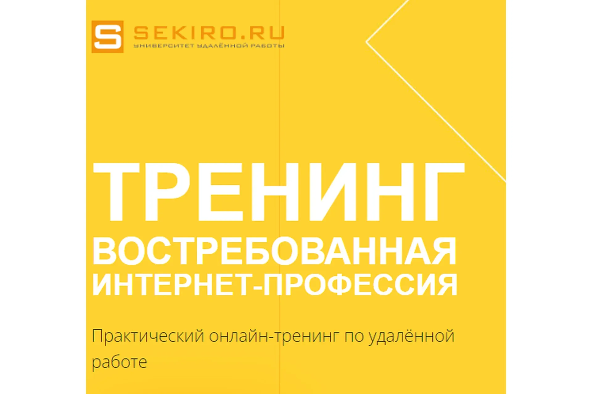 Востребованная интернет профессия. Пакет базовый, 24 поток (Валерий Секиро, Ксения Секиро)