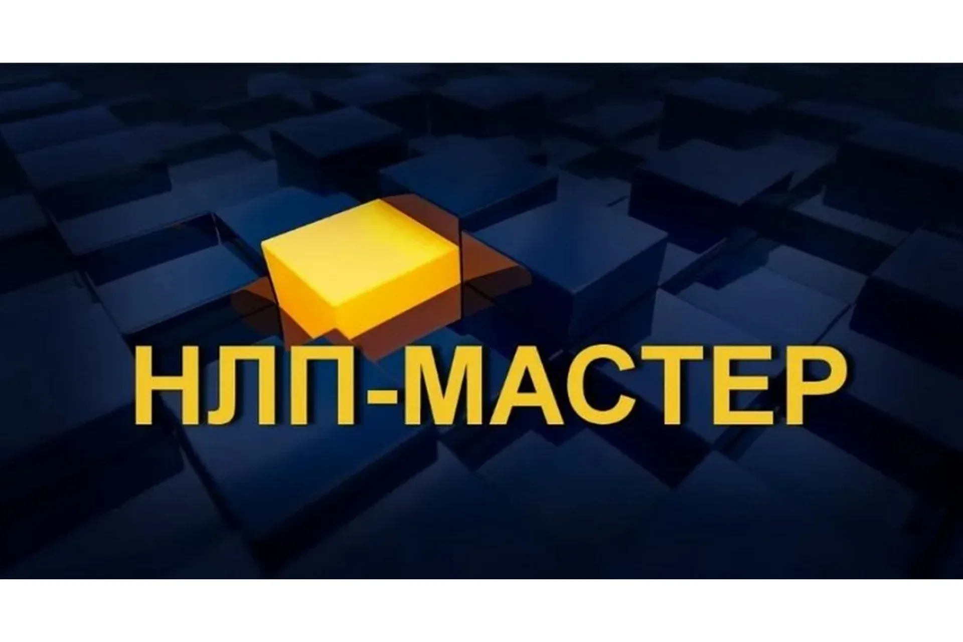 Мастер НЛП. Комплексное нейропрограммирование (Валерий Шелгинский, Светлана Горюнова)