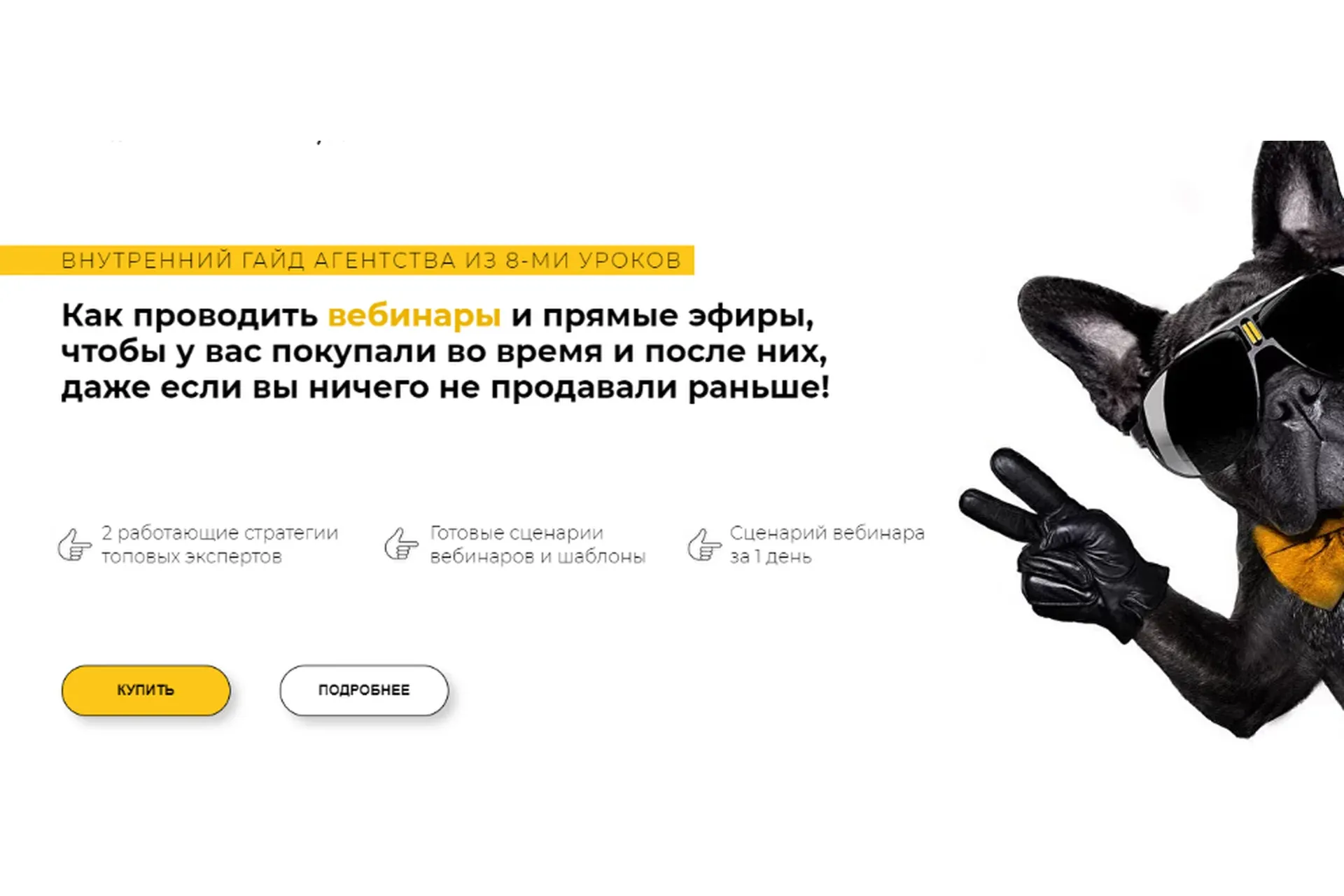 Как проводить вебинары и прямые эфиры, чтобы у вас покупали во время и после них (Анастасия Ланская)