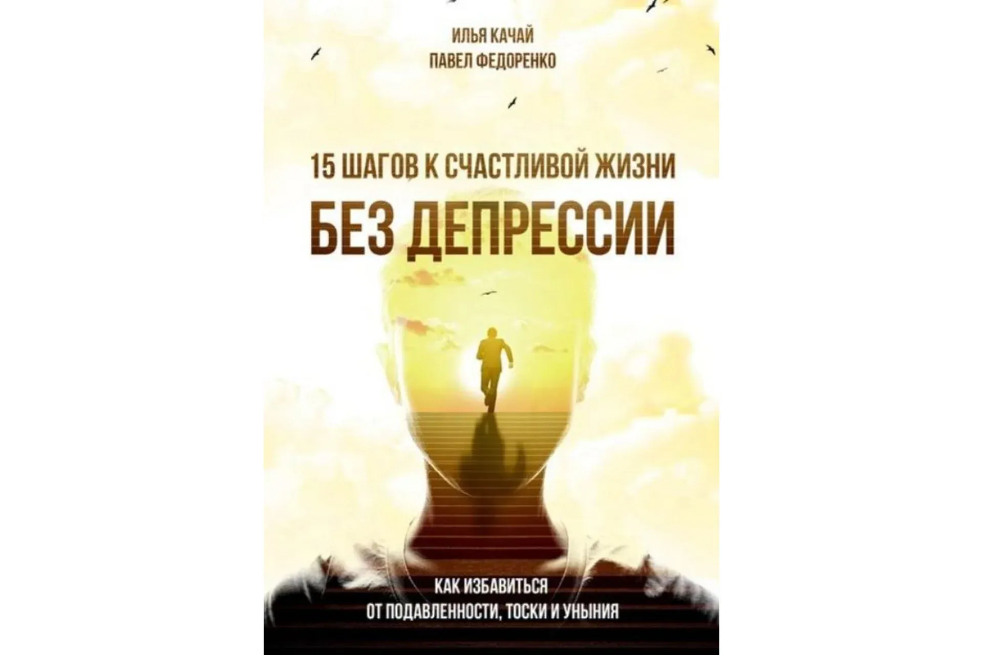 15 шагов к счастливой жизни без депрессии  (Павел Федоренко, Илья Качай)