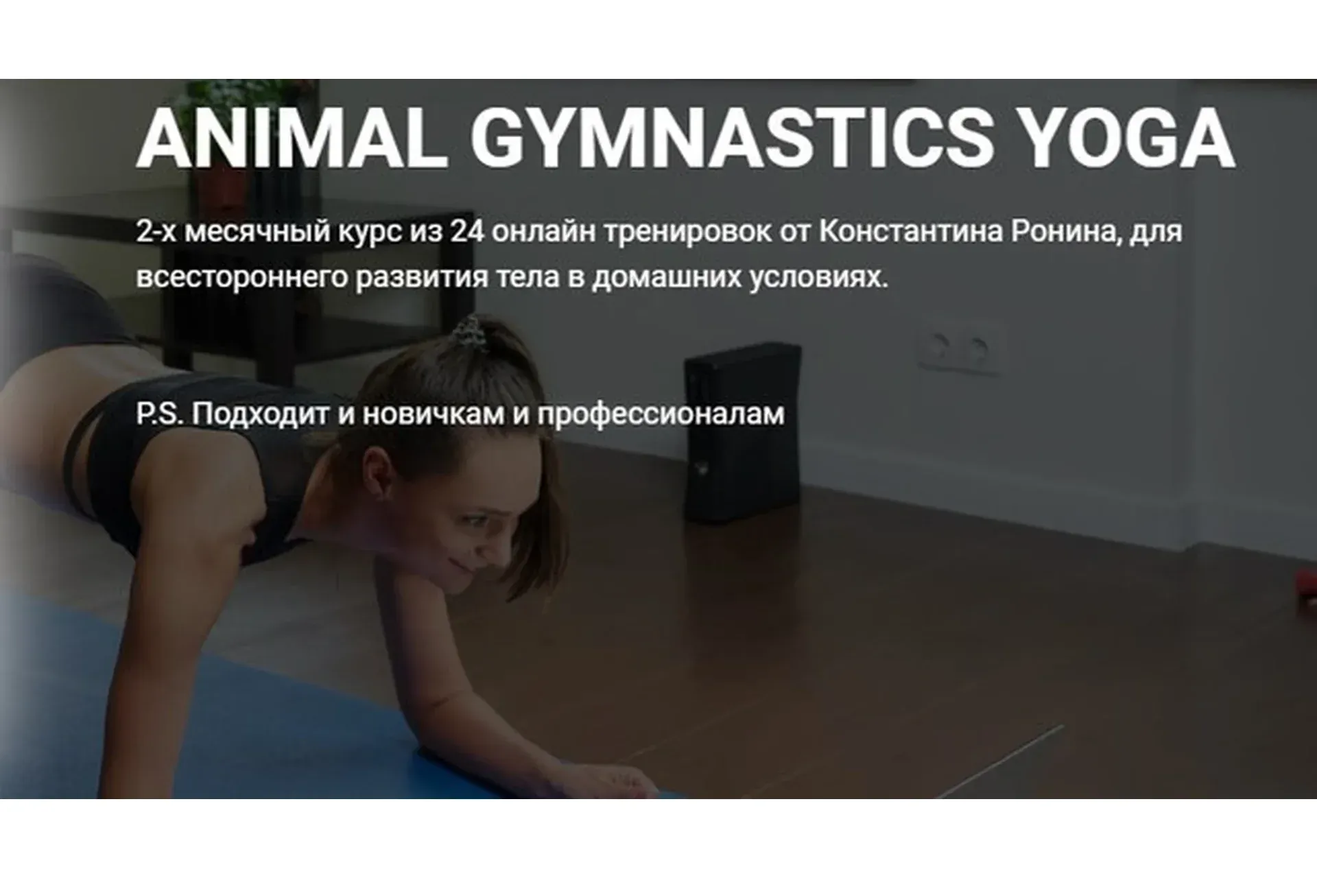 Animal gymnastics yoga (Константин Ронин)