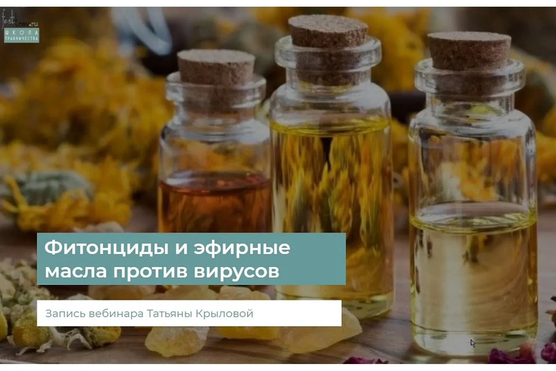 Фитонциды и эфирные масла против вирусов (Татьяна Крылова)