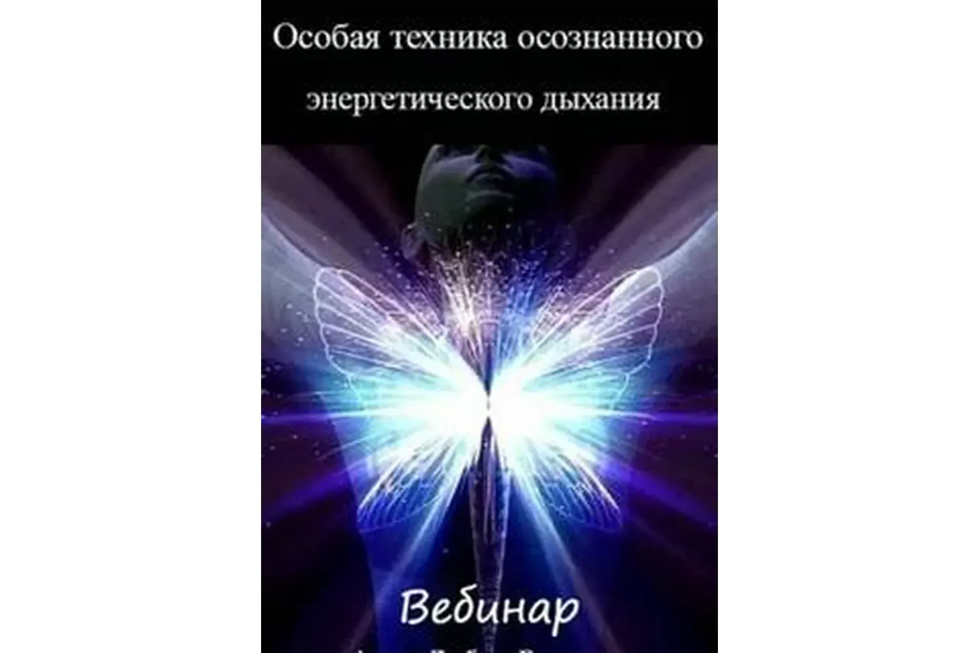 Особая техника осознанного энергетического дыхания, 2014 (Любовь Богданова)