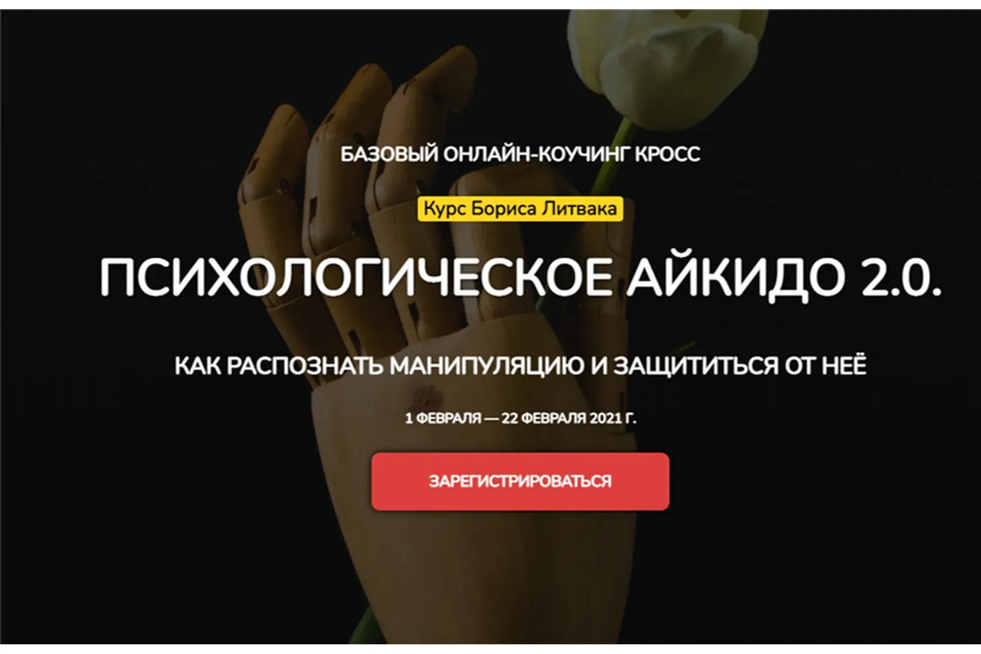 [КроссКлуб] Психологическое айкидо 2.0. Пакет - Лайт (Борис Литвак)