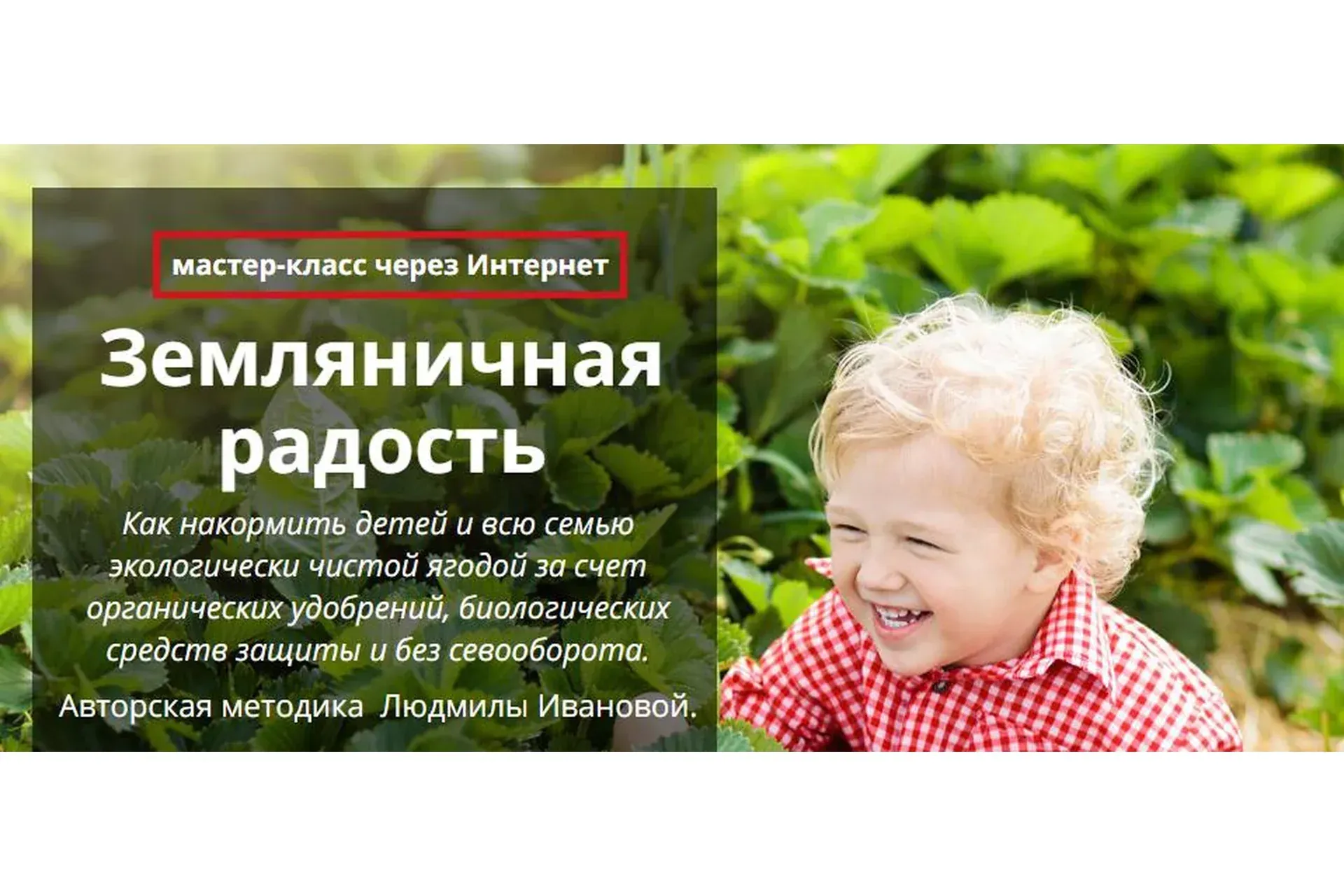 Земляничная радость (Людмила Иванова)
