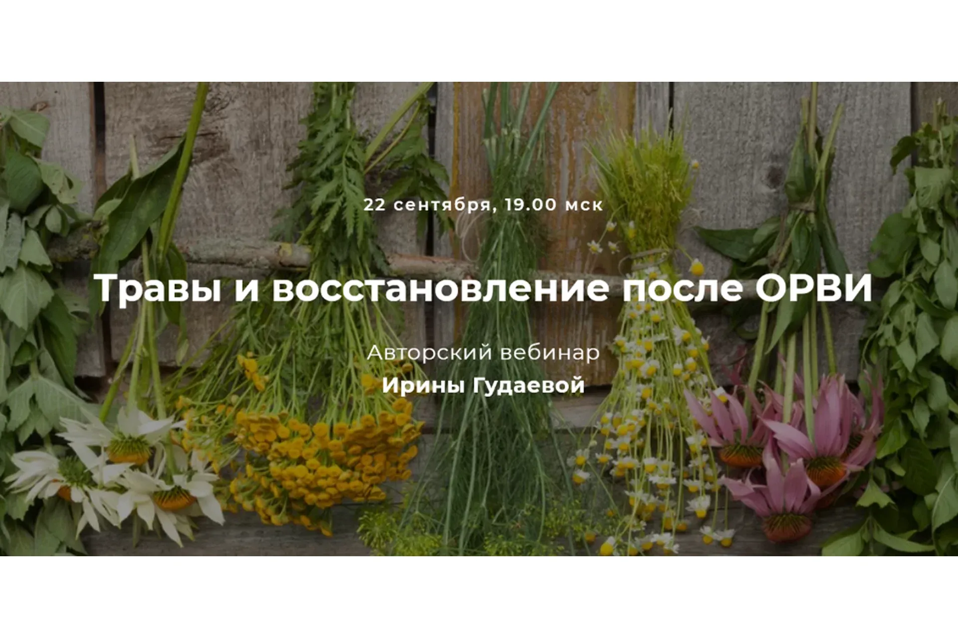 Травы и восстановление после ОРВИ (Ирина Гудаева)