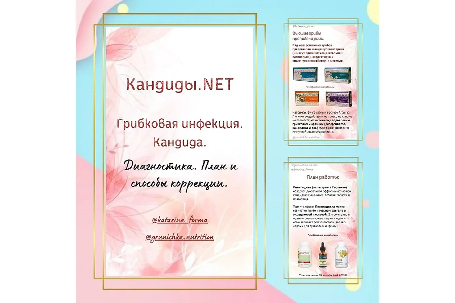 Руководство Кандиды.net (Катерина Форма)