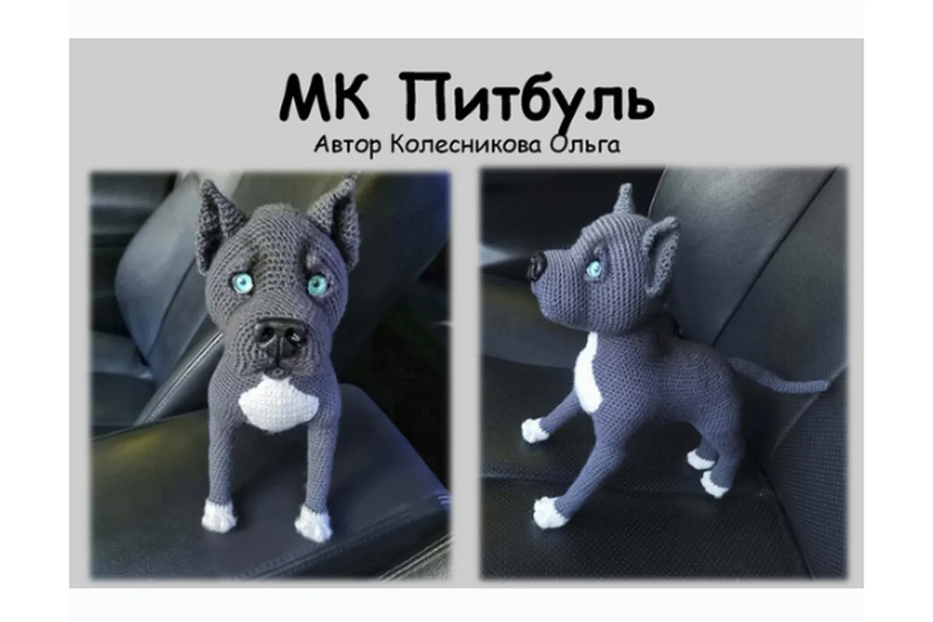Питбуль (Ольга Колесникова)