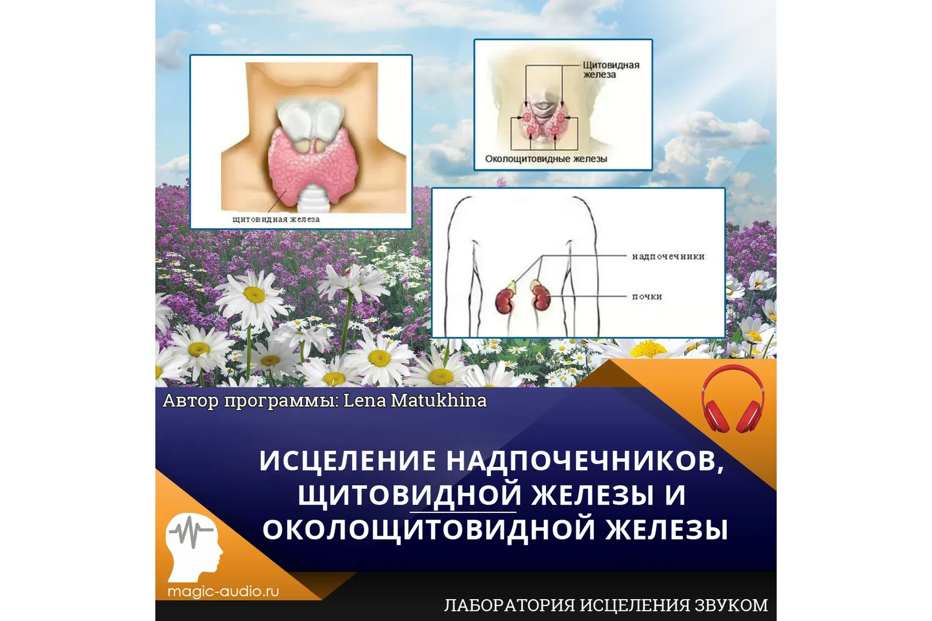 Исцеление надпочечников, щитовидной железы и околощитовидной железы (Lena Matukhina)