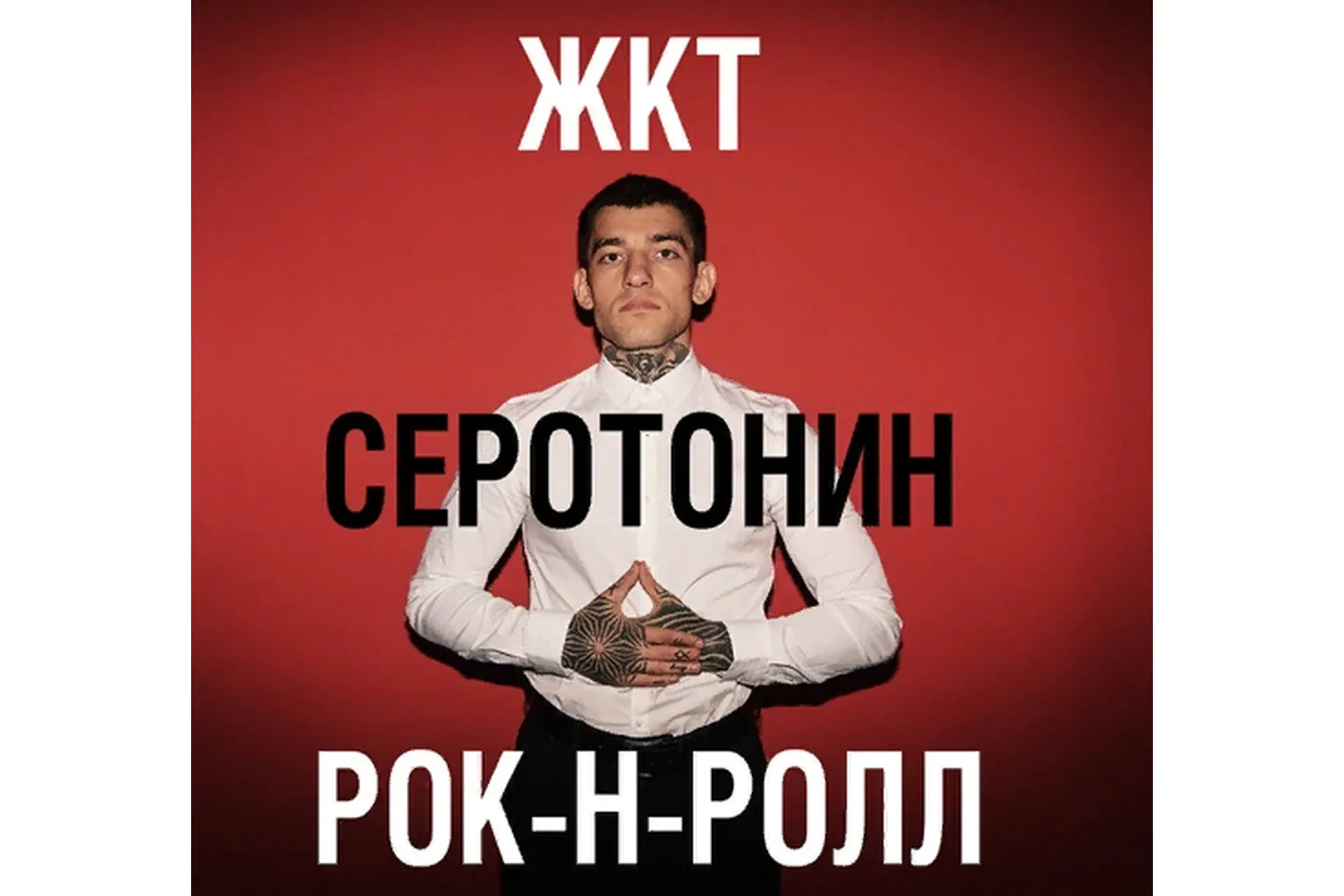 Как улучшить работу ЖКТ и повысить уровень серотонина (Эрнест Нейман)