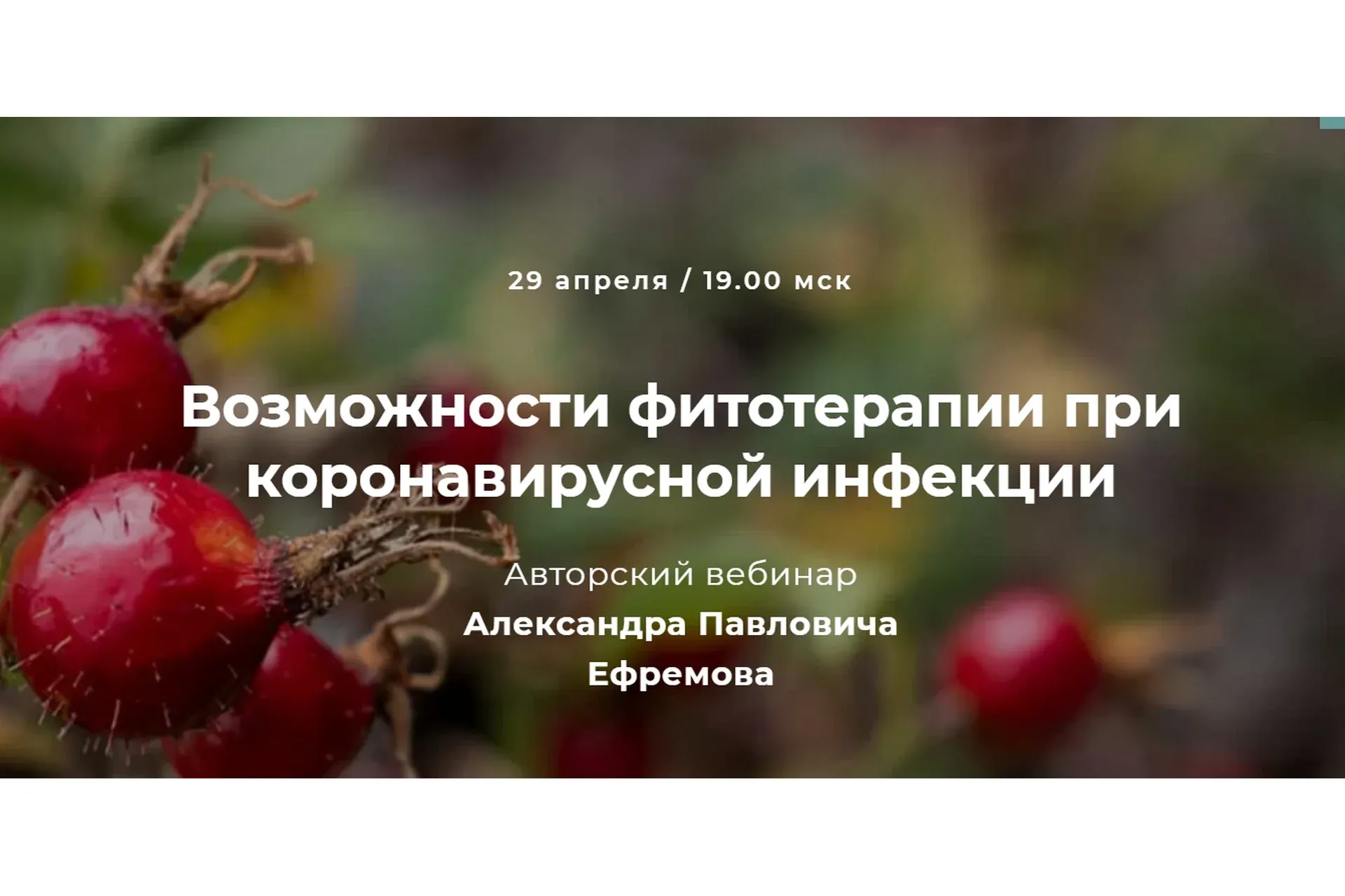 Возможности фитотерапии при коронавирусной инфекции (Александр Ефремов)