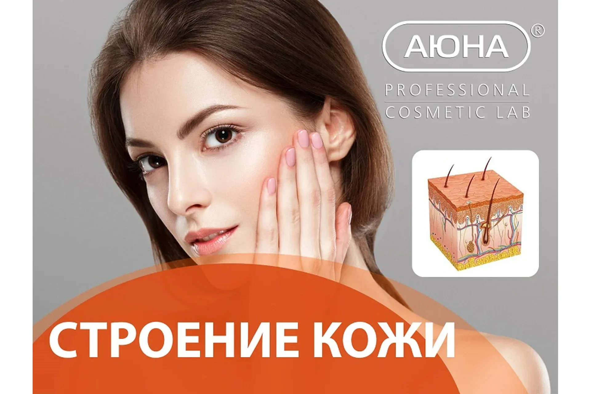 [АЮНА] Строение кожи. Послойный разбор (Константин Фигловский)