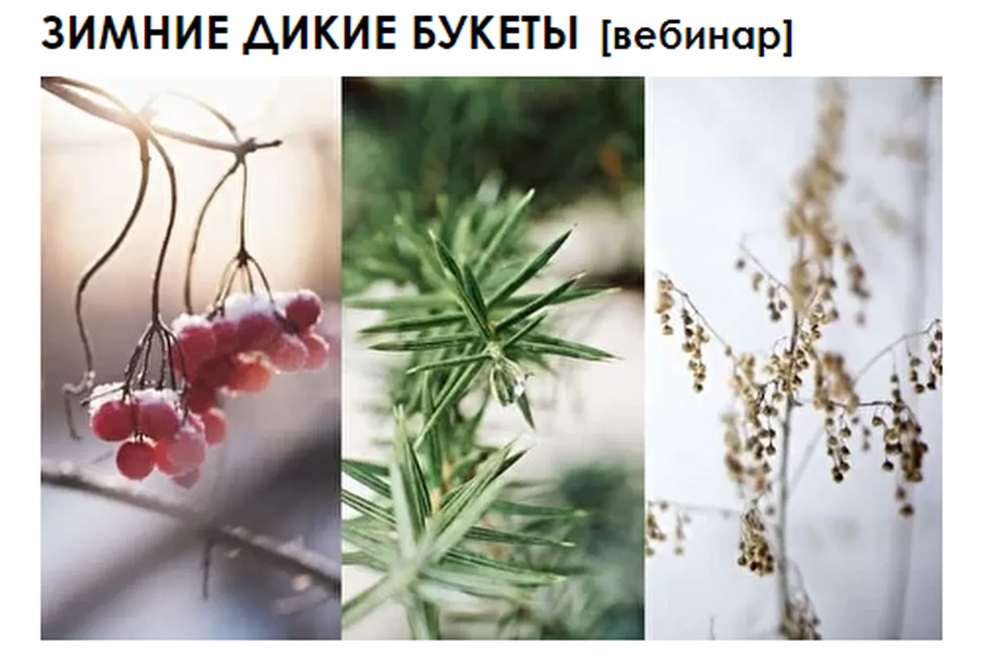 [You Russia] Зимние дикие букеты  (Наташа Бартон)