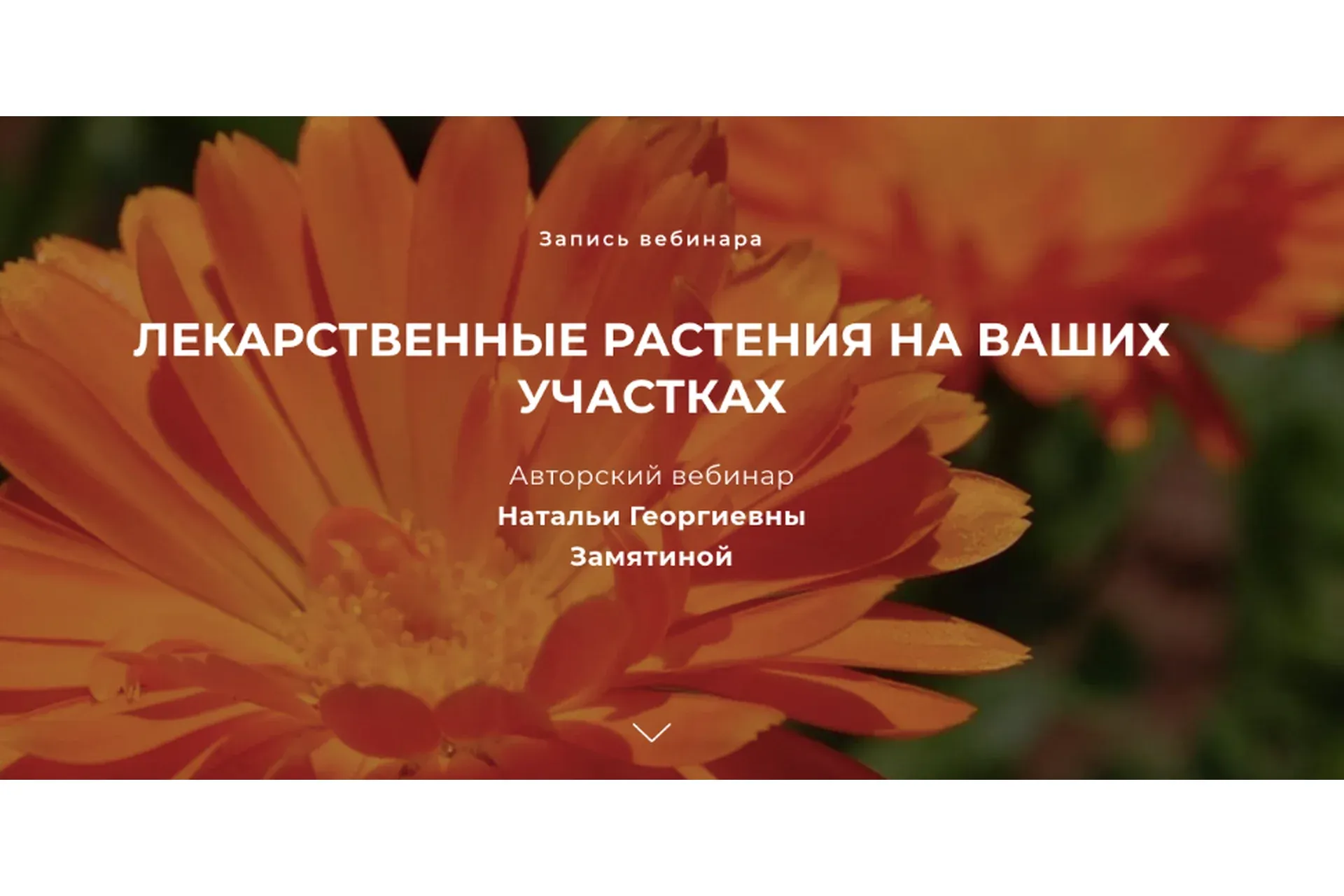 Лекарственные растения на ваших участках (Наталья Замятина)