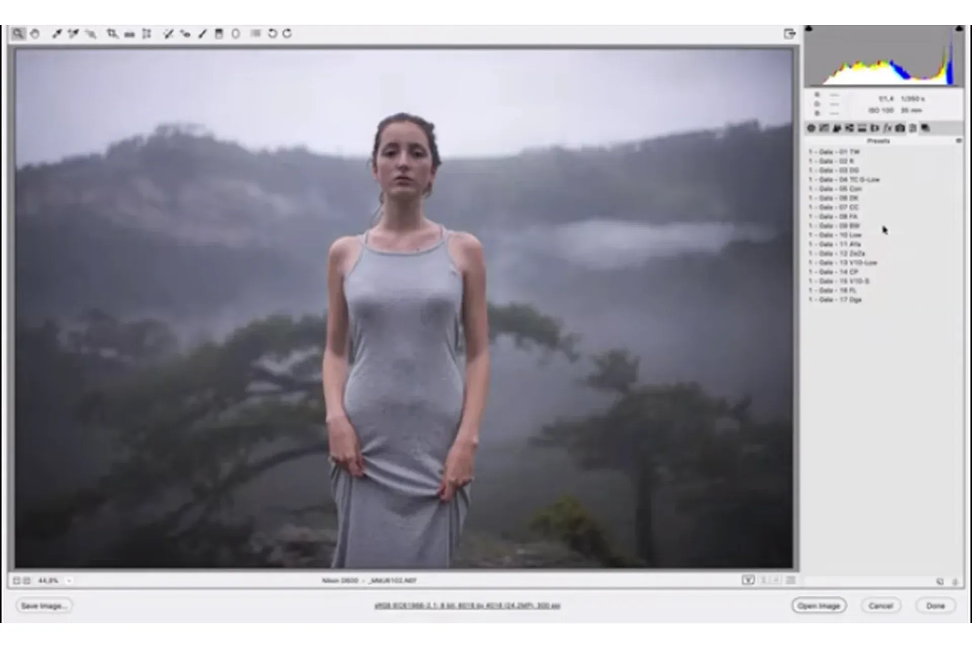 Gala - Lightroom & Acr Preset Pack (Марат Сафин)