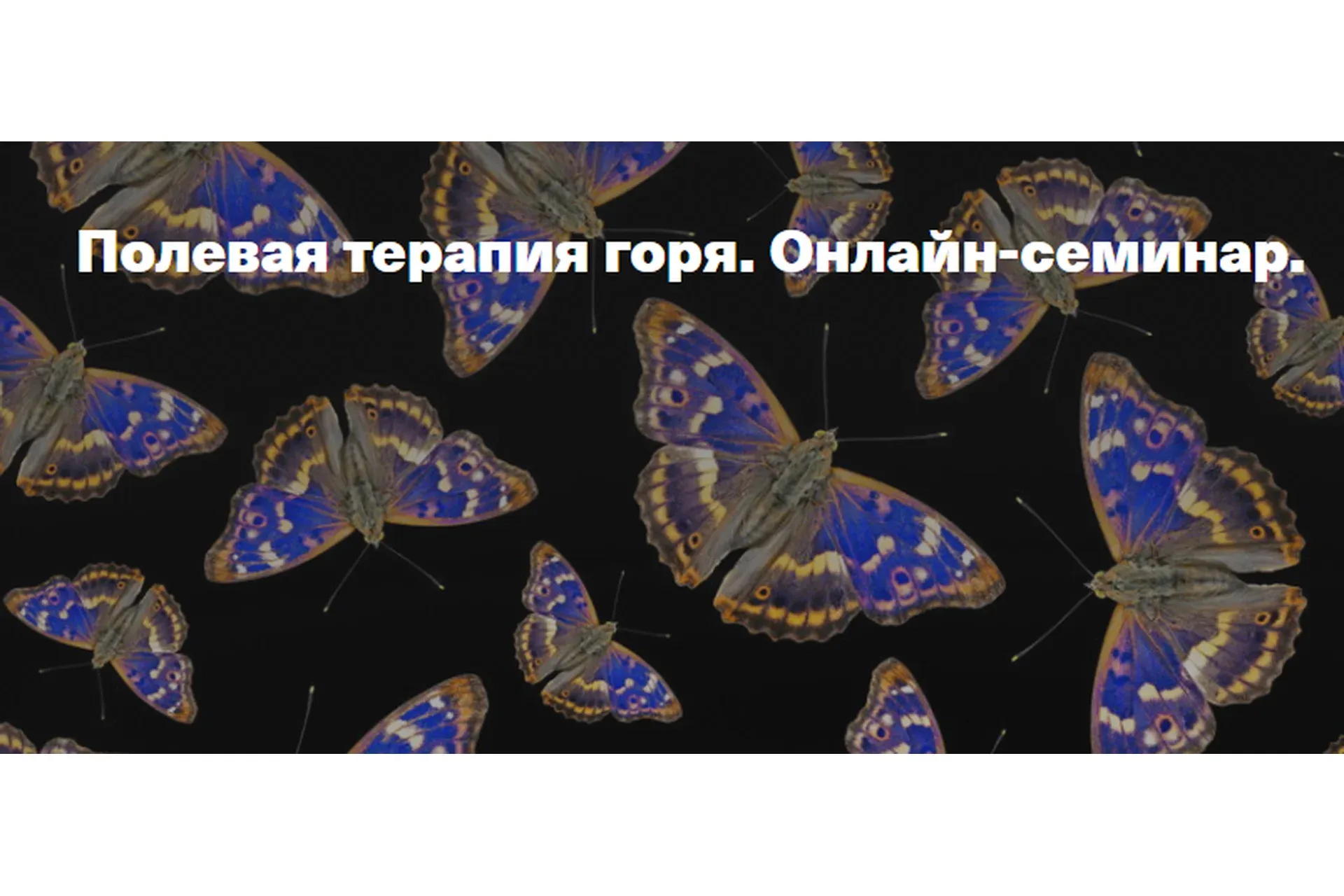 [Центр Современных системных расстановок] Полевая терапия горя (Елена Веселаго)