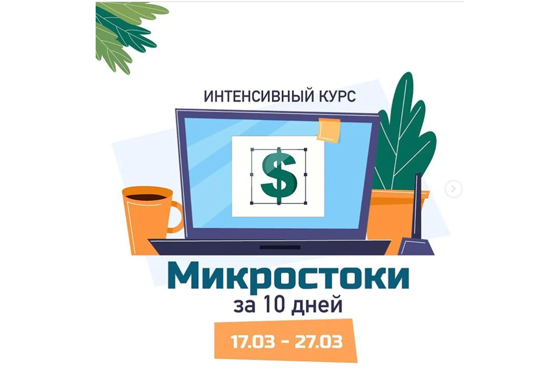 Микростоки за 10 дней (Елена Пышнограй)