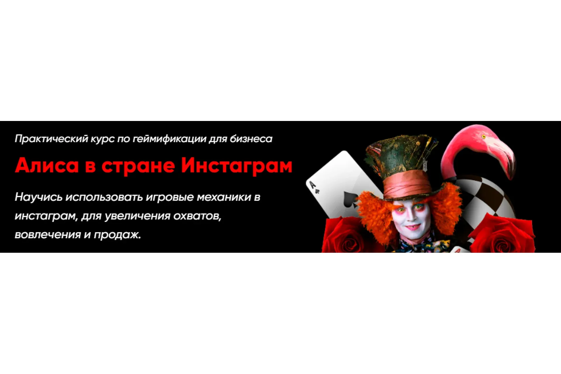 Алиса в стране Инстаграм (Ася Жгилева)