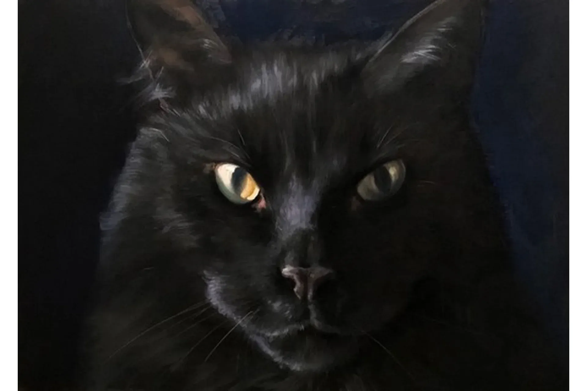 Кот (Игорь Сахаров)