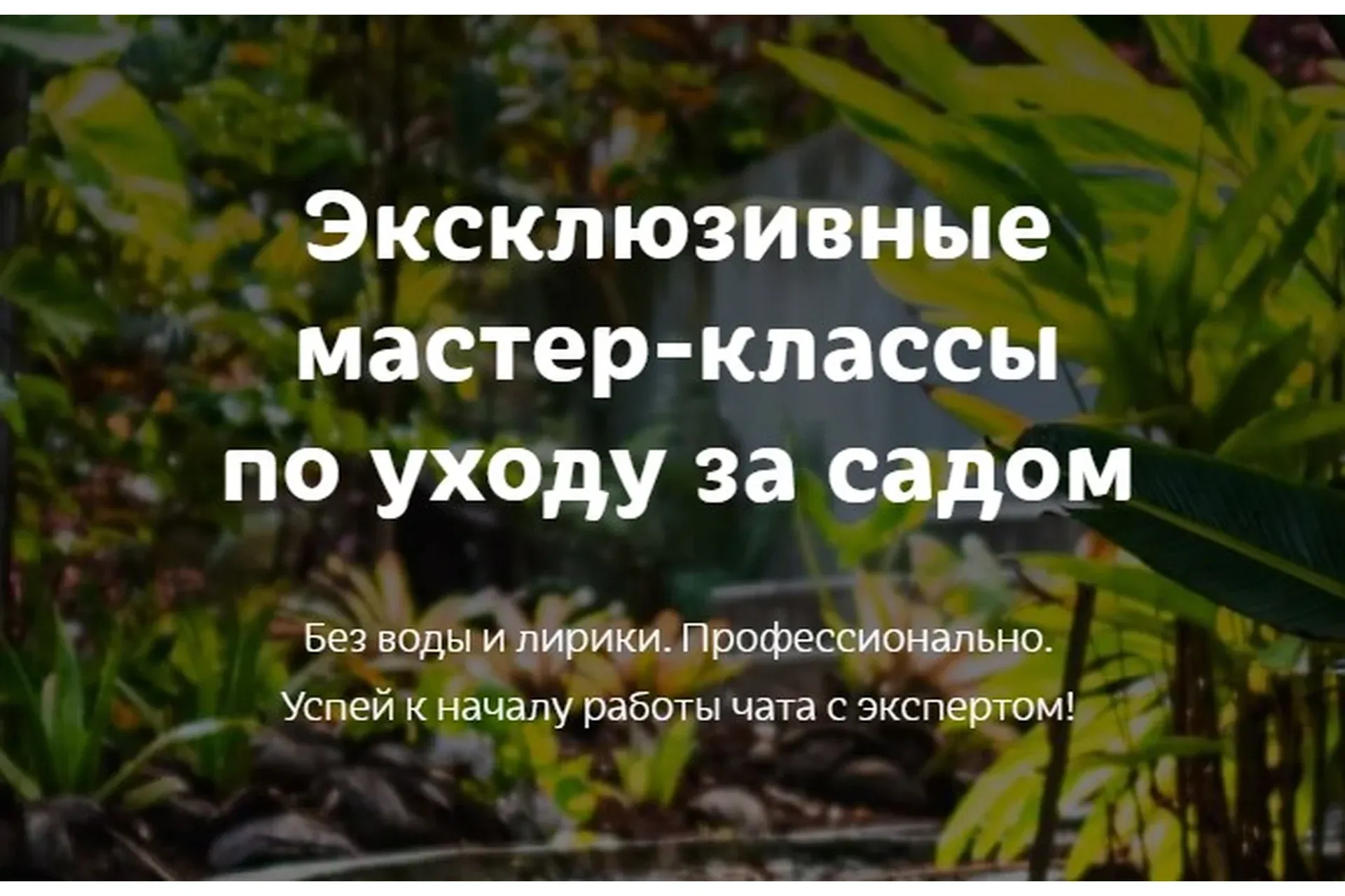 Газон и Хвойные (Кристианна Виниченко)