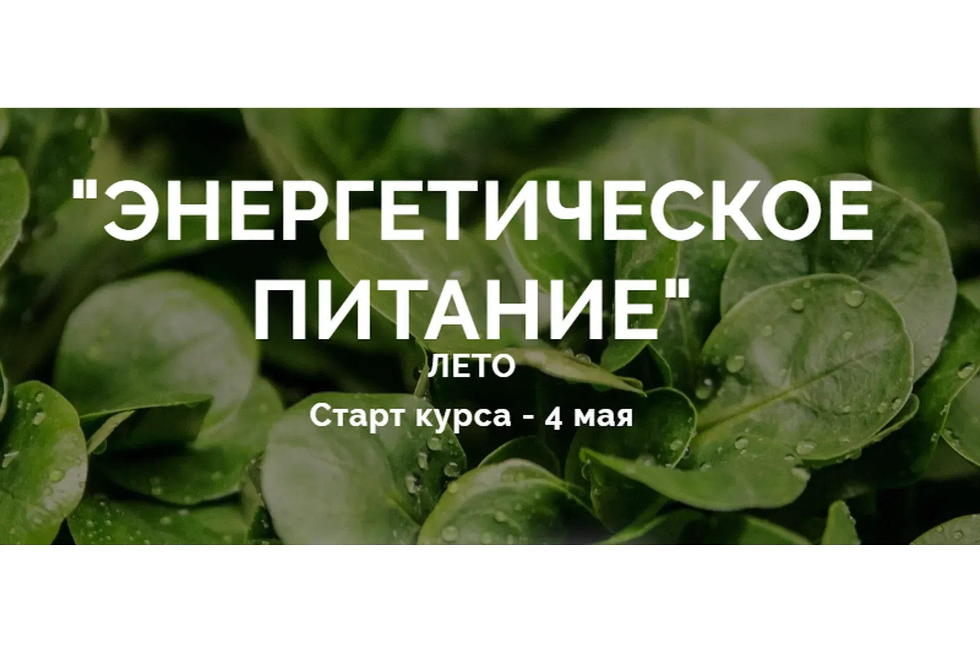 Энергетическое питание - блок Лето (Юлия Дашевски)