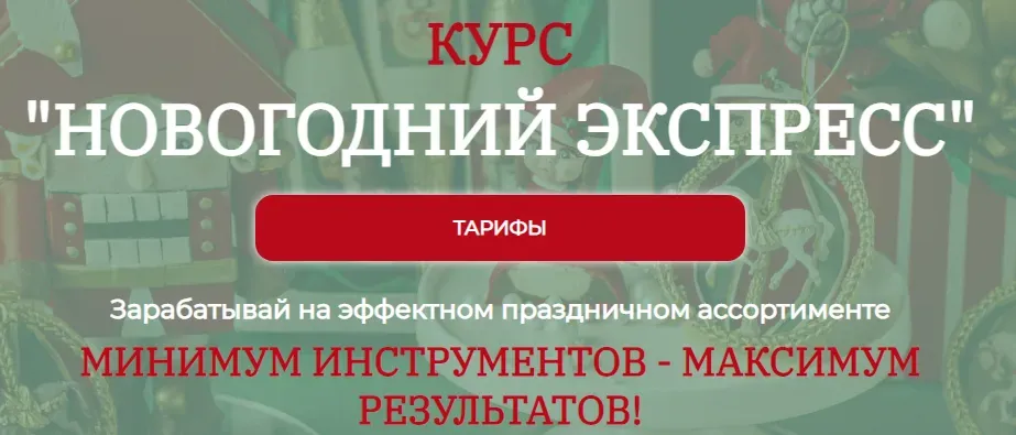 Новогодний экспресс. Тариф Я сама (Екатерина Завирюха)