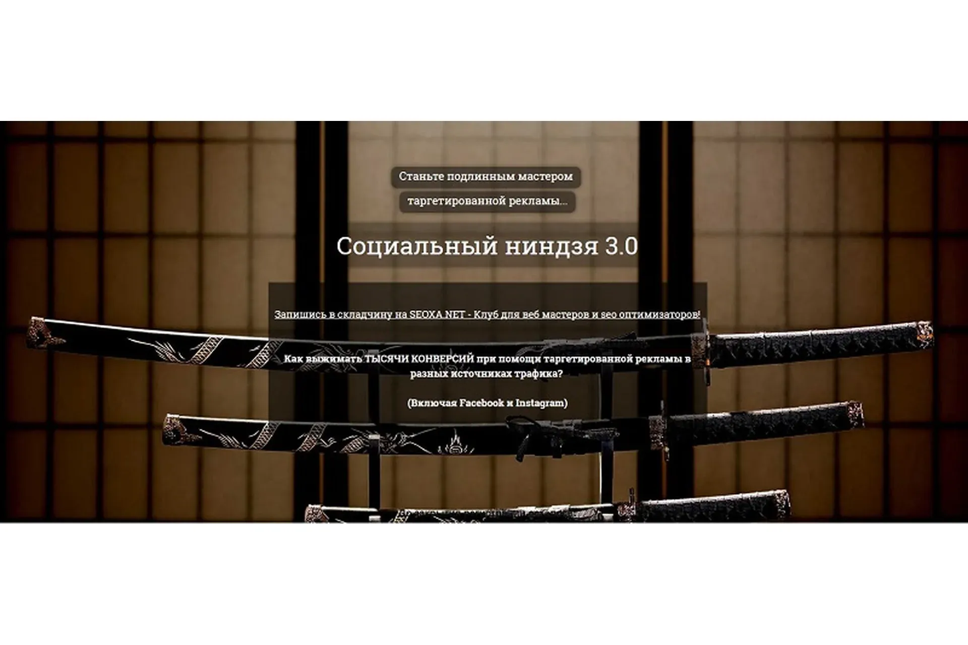 Социальный Ниндзя 3.0 (Александр Корнилов, Алексей Князев)