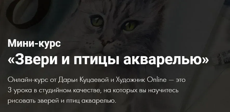 [Художник Online] Звери и птицы акварелью (Дарья Куцаева)