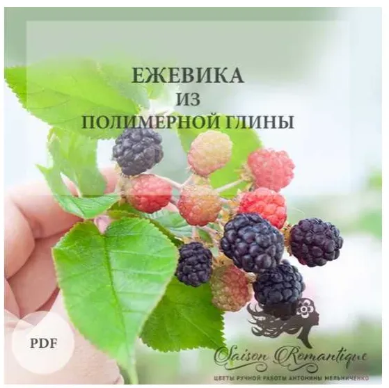 [Школа лепки Saison Romantique] Ежевика из полимерной глины (Антонина Мельниченко)