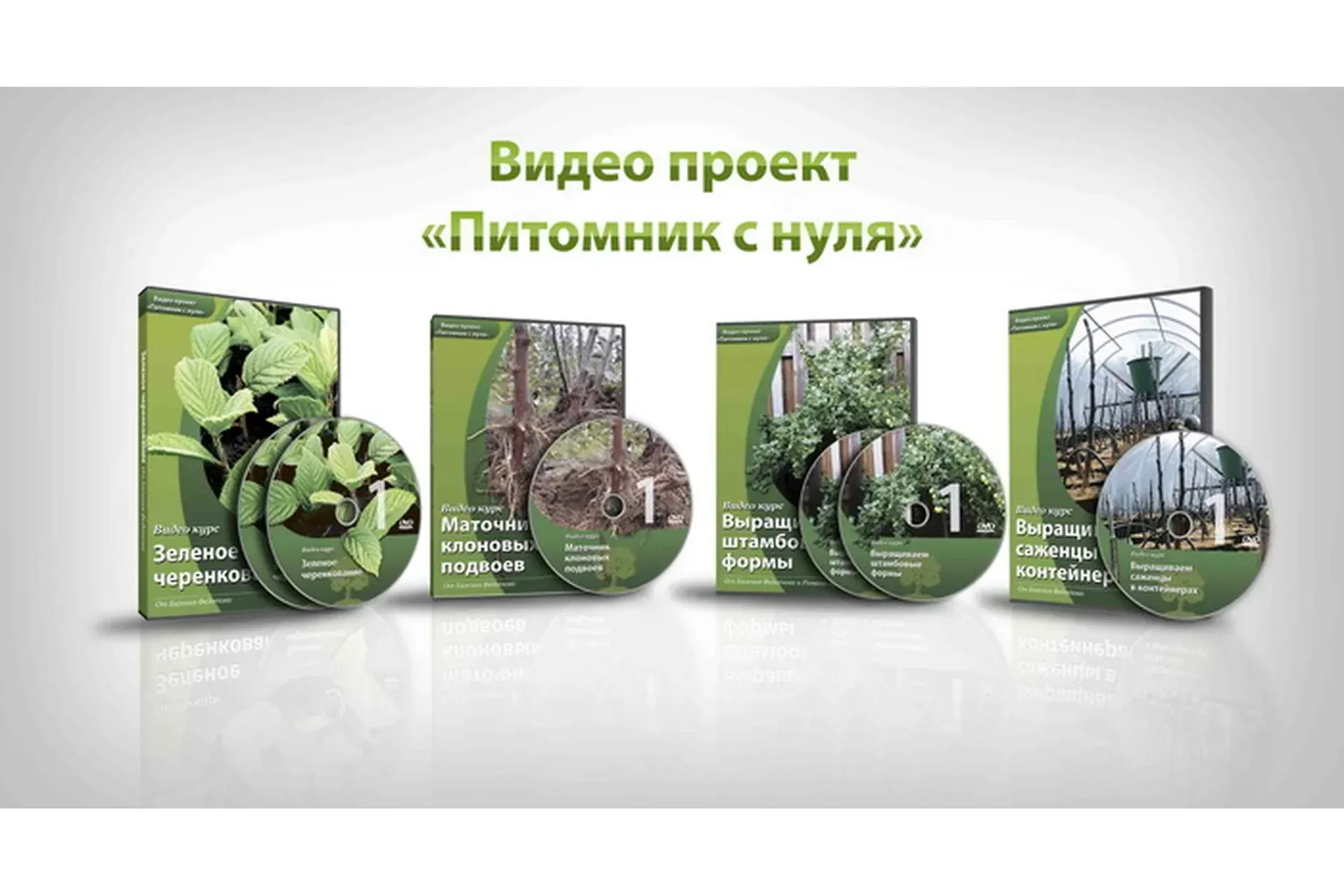 Питомник с нуля 2014 (Евгений Федотов)
