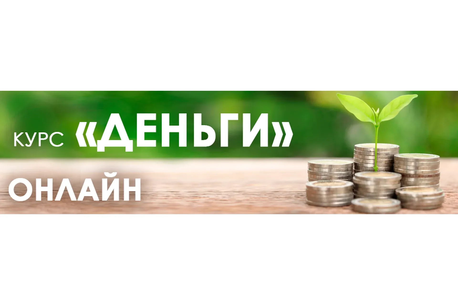 Деньги|online (Анна Сечкина)