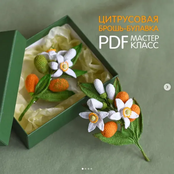 Цитрусовая брошь-булавка (Светлана Пелюшенко)