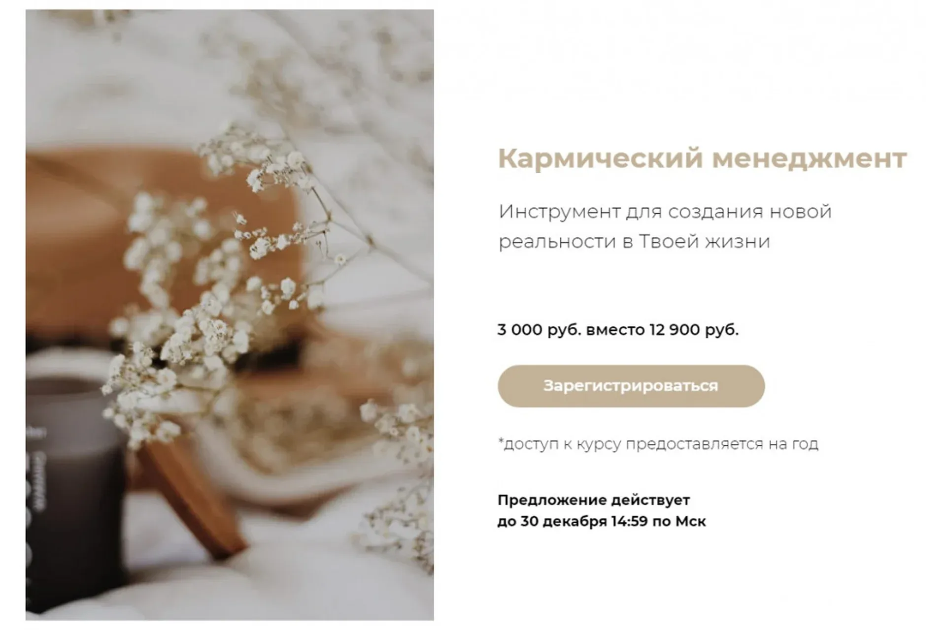 Кармический менеджмент  (Юлия Богацкая)